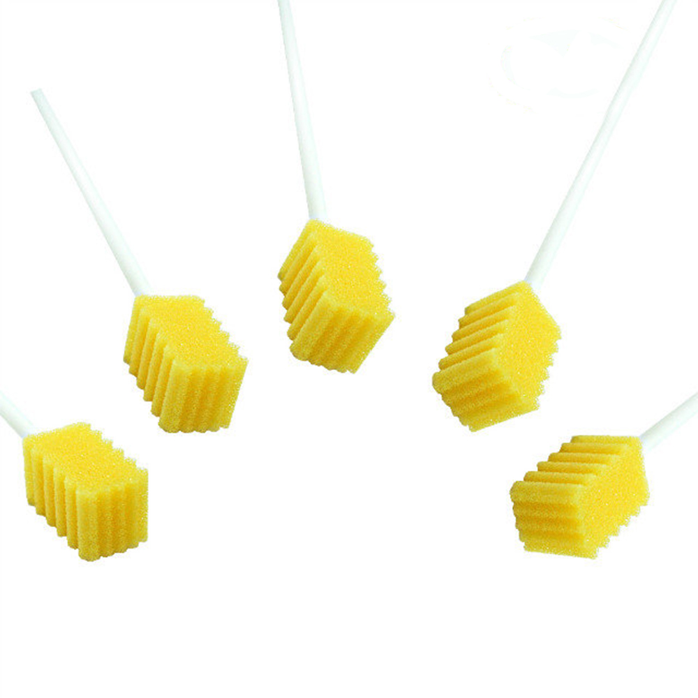 Training and Companionship: The Care Behind the Oral Sponge Swab